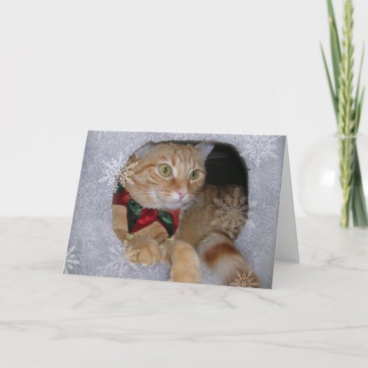 X masは梳きます シーズンカード (正面)