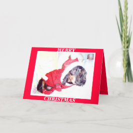 X MASクリスマスカード – HEIDI PUP - DASCHUND MINI シーズンカード