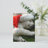 x-mas帽子のかわいいラブラドール子犬 ポストカード (スタンド正面)