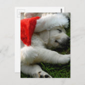 x-mas帽子のかわいいラブラドール子犬 ポストカード (正面/裏面)