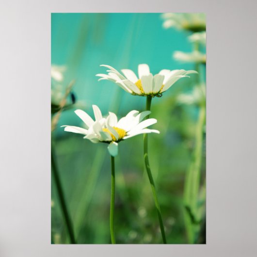 x-posed 01 ポスター (正面)