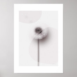 X-ray Botanical Art - Dandelion ポスター