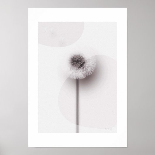 X-ray Botanical Art - Dandelion ポスター (正面)