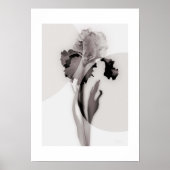 X-ray Botanical Art - Iris ポスター (正面)