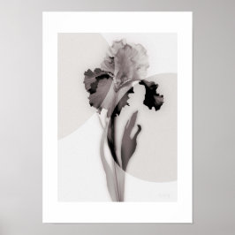 X-ray Botanical Art - Iris ポスター