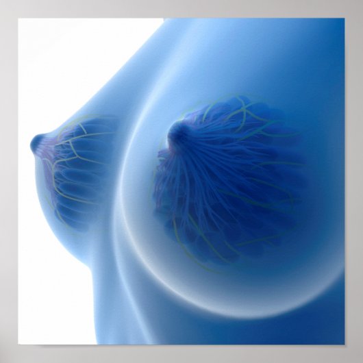 X-Ray Image Of Female Breast Anatomy ポスター (正面)