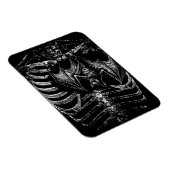 X-Ray Skelett Korpus mit Fledermaus マグネット (右側)