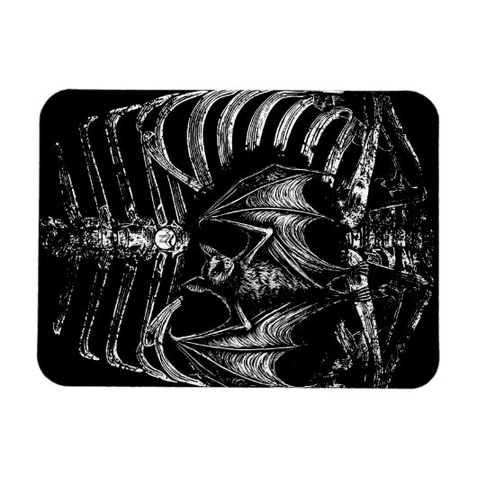 X-Ray Skelett Korpus mit Fledermaus マグネット (横)