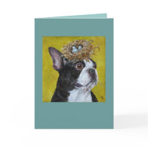 Xan the Boston terrier card
