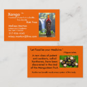 Xangoの健康 名刺 (正面/裏面)