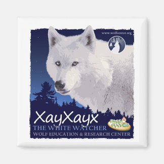 Xayxayxマグネット マグネット