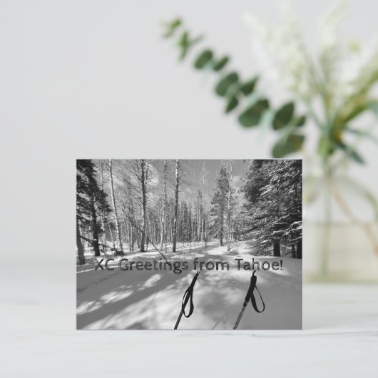 XC Greetings from Tahoe! ポストカード (スタンド正面)