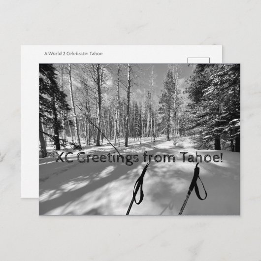 XC Greetings from Tahoe! ポストカード (正面/裏面)
