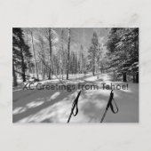 XC Greetings from Tahoe! ポストカード (正面)