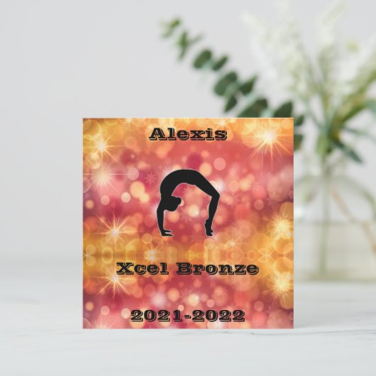 Xcelブロンズ体操 (スタンド正面)