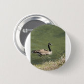 xcvdvdf 缶バッジ (正面&裏面)