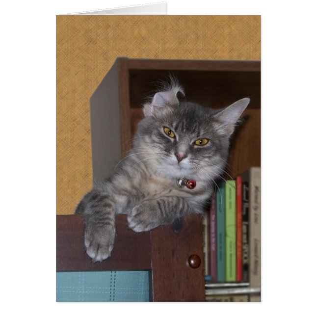 Xenaおっちょこちょいのなカード (正面)