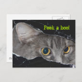 Xena Peek-a-booポストカードカスタマイズ-  ポストカード (正面/裏面)