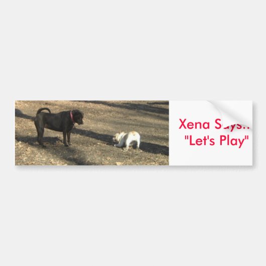 xenaplay、Xenaは… "遊ぼう"ことを言います バンパーステッカー (正面)