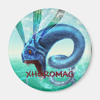 Xhoromag 10 マグネット