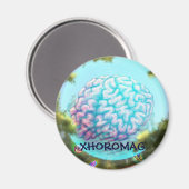 Xhoromag 12 マグネット (正面/裏面)