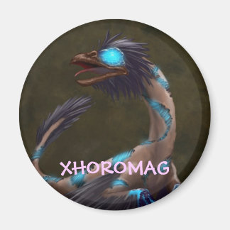 Xhoromag 19 マグネット