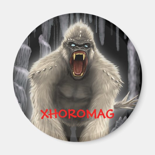 Xhoromag 7 マグネット (正面)