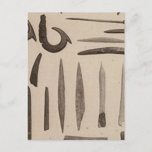 XI 骨の記事、 南カリフォルニア ポストカード (正面)