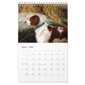 Xine's Pack of Strays & Others Calendar カレンダー (3月 2027)