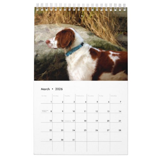 Xine's Pack of Strays & Others Calendar カレンダー (3月 2026)