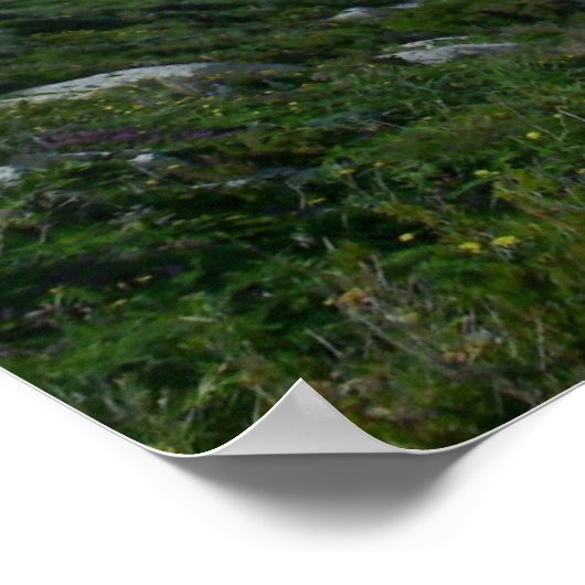 Xlendi Cliffs – マルタ，ゴゾ ポスター (角)