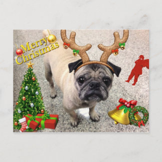 X'masのメリーな郵便はがきMachi シーズンポストカード