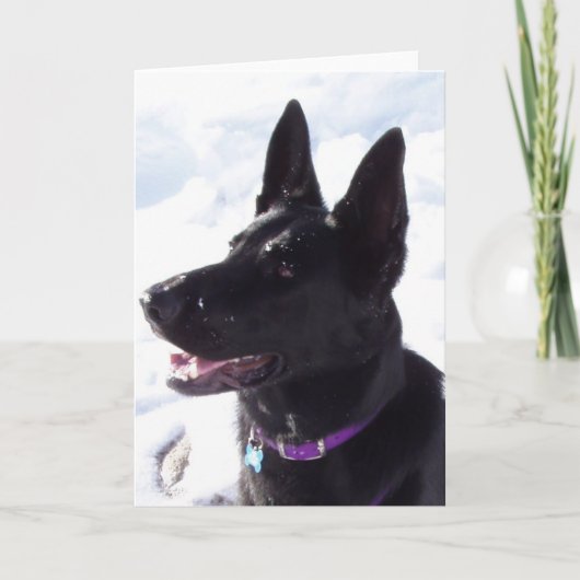 xmas1 シーズンカード (正面)