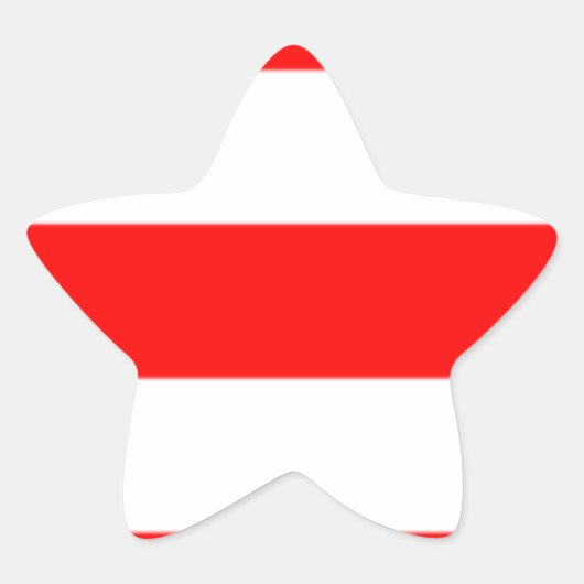 Xmas 星シール (正面)