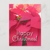 Xmas 001 - Postcard ポストカード (正面)