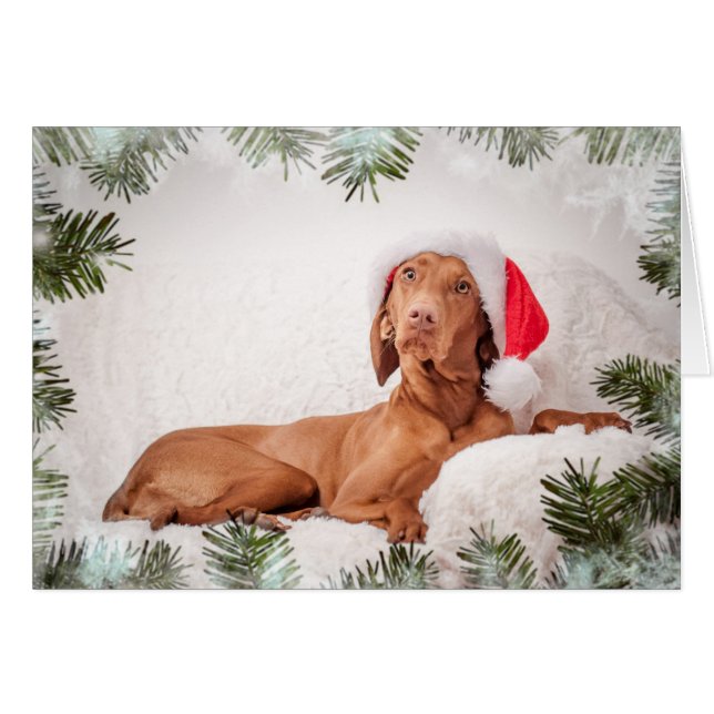 Xmas Card / Christmas Card "Magyar Vizsla" (正面横)