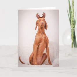 Xmas Card / Christmas Card "Magyar Vizsla" シーズンカード