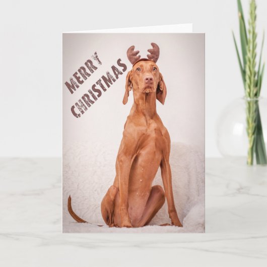 Xmas Card / Christmas Card "Magyar Vizsla" シーズンカード (正面)