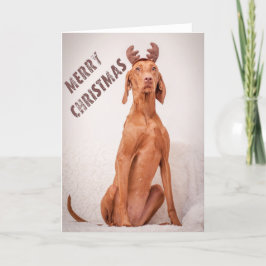 Xmas Card / Christmas Card "Magyar Vizsla" シーズンカード