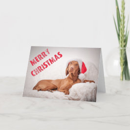 Xmas Card / Christmas Card "Magyar Vizsla" シーズンカード