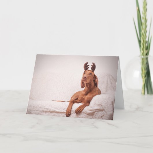 Xmas Card / Christmas Card "Magyar Vizsla" シーズンカード (正面)