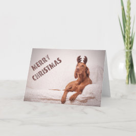 Xmas Card / Christmas Card "Magyar Vizsla" シーズンカード