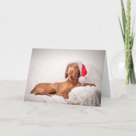 Xmas Card / Christmas Card "Magyar Vizsla" シーズンカード