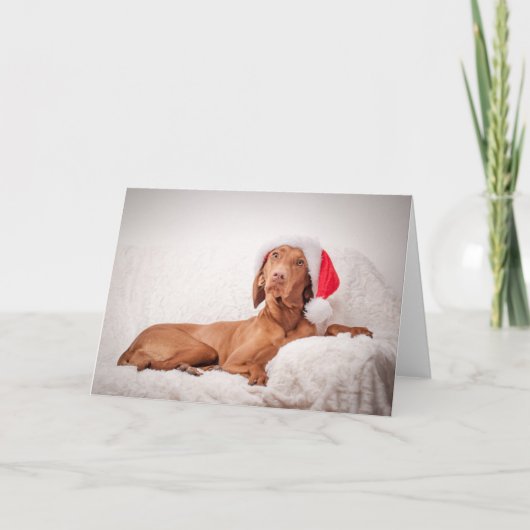 Xmas Card / Christmas Card "Magyar Vizsla" シーズンカード (正面)