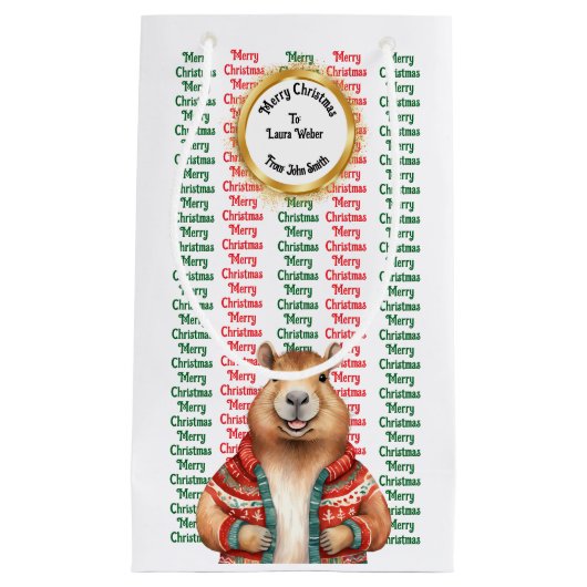 XMAS GIFT BAG スモールペーパーバッグ (正面)