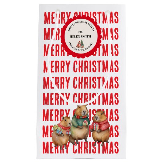 XMAS GIFT BAG スモールペーパーバッグ (正面)