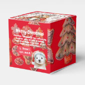 XMAS GIFT BOX フェイバーボックス (正面サイド)