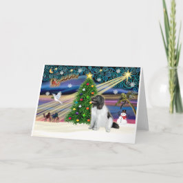 Xmas Magic-Newfie-Landseersit シーズンカード