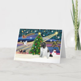 Xmas Magic-Newfie-Landseersit シーズンカード