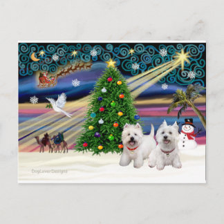 XMAS MAGIC-WestiePAIR5and8 シーズンポストカード